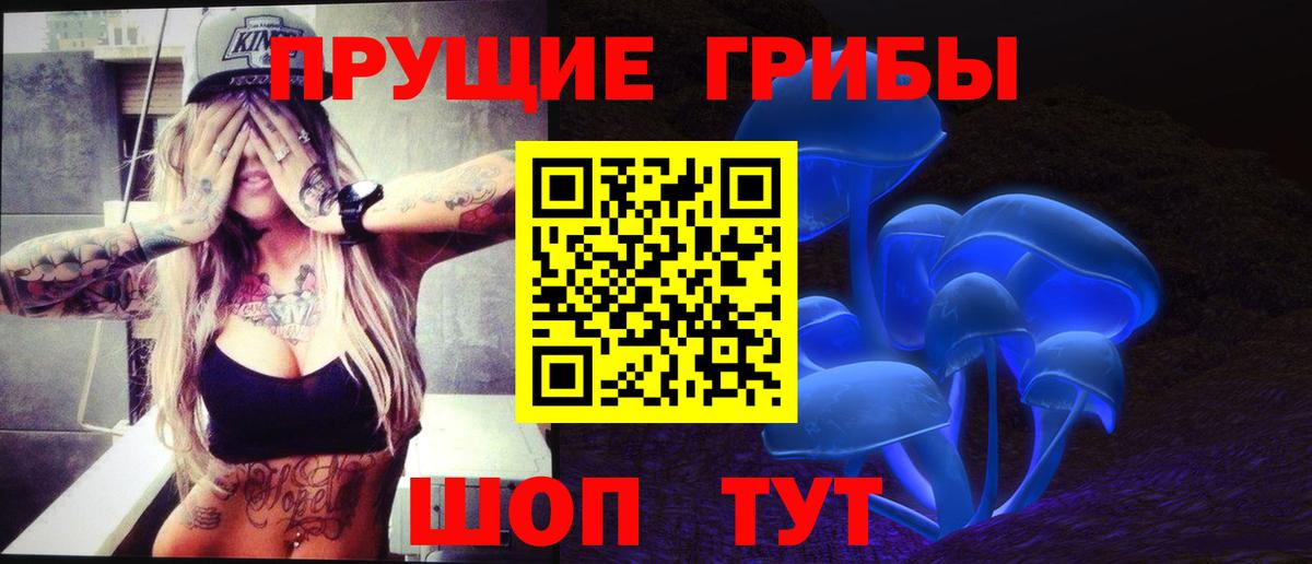 Галлюциногенные грибы Psilocybe  Вход с VPN  Сухой Лог 