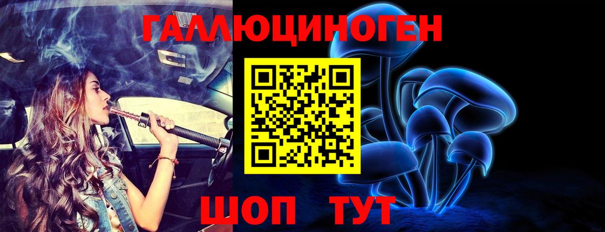 Псилоцибиновые грибы Cubensis Сухой Лог