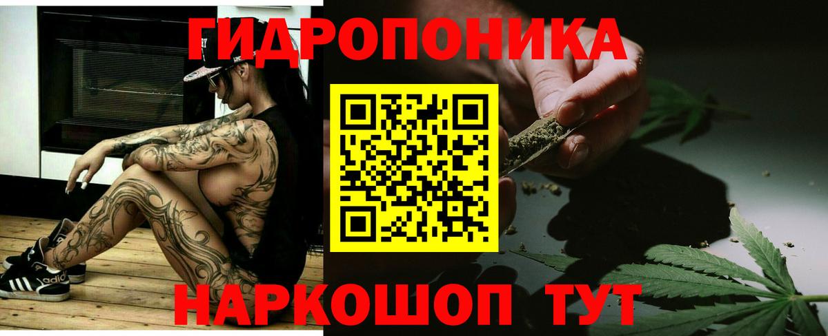 Каннабис MAZAR Сухой Лог